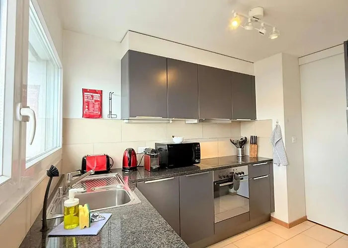 Apartment 178 Good Location Spacious And Free Parking Included Lausanne